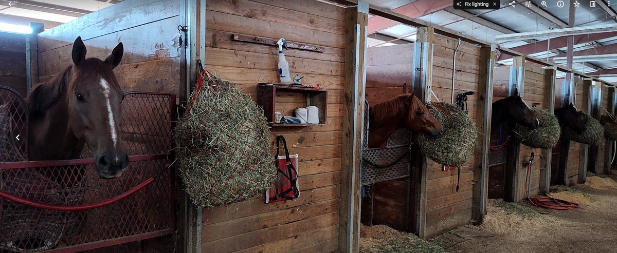 EmeraldDowns's tweet photo. The Horses having their afternoon hay! Racing starts in eight days. First Race 1:30 PM.
#TheRushReturns https://t.co/PJvUgpFish