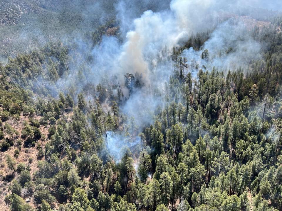 From Santa Fe National Forest Facebook page. 
#DryGulchFire
#NMFire
🔥🔥🔥
facebook.com/photo.php?fbid…