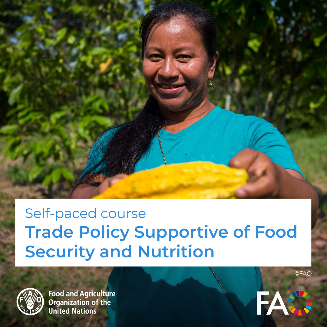 🎓FREE self-paced course! 🛳️Trade Policy Supportive of Food Security and Nutrition This course aims at describing different types of trade policy measures, their role and considerations for trade policy design and implementation Enroll! ➡️ ow.ly/NjTk50QMync @FAOKnowledge