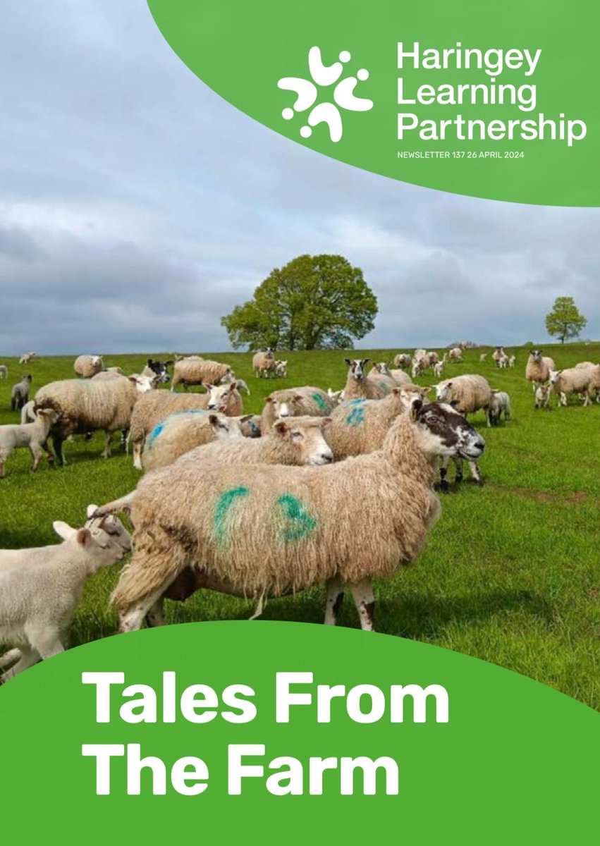 Hot off the press! This week’s newsletter is a very special issue - with tales of @JamiesFarm, @steelwarriorsuk, @LiteracyPirates & a brilliant match report from @MentorHus 🐑🐐🐴 Read it here: haringeylearningpartnership.org/docs/newslette…