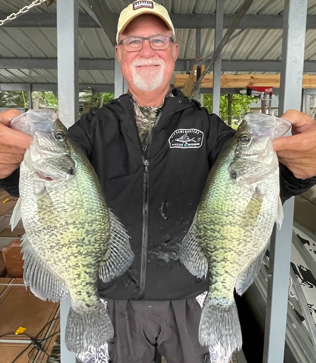 Say it with me now. HOGS! Couple jumbo crappie from this morning.