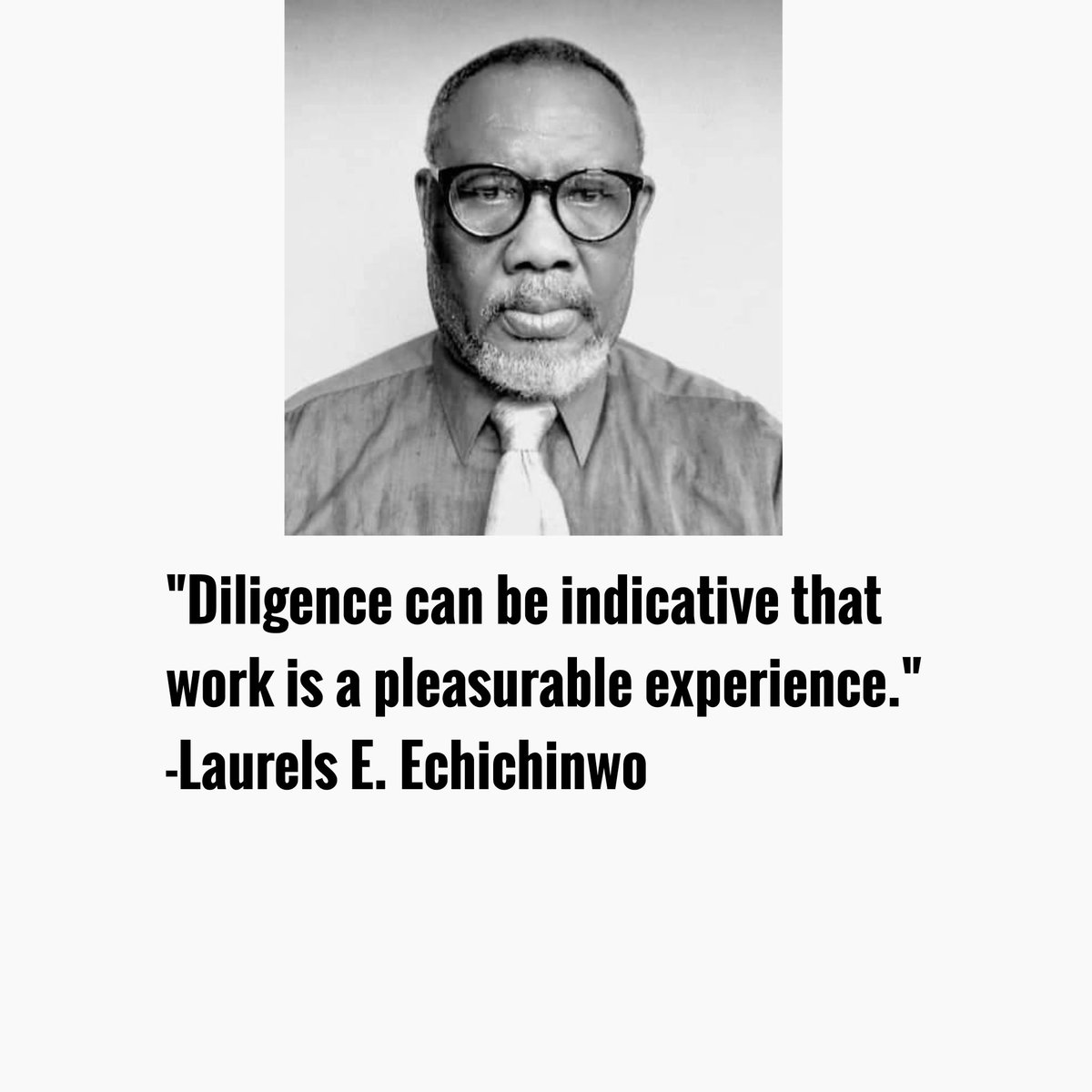 'Diligence can be indicative that work is a pleasurable experience.' 
-Laurels E. Echichinwo 
#laurelsechichinwoinspirationalquotes