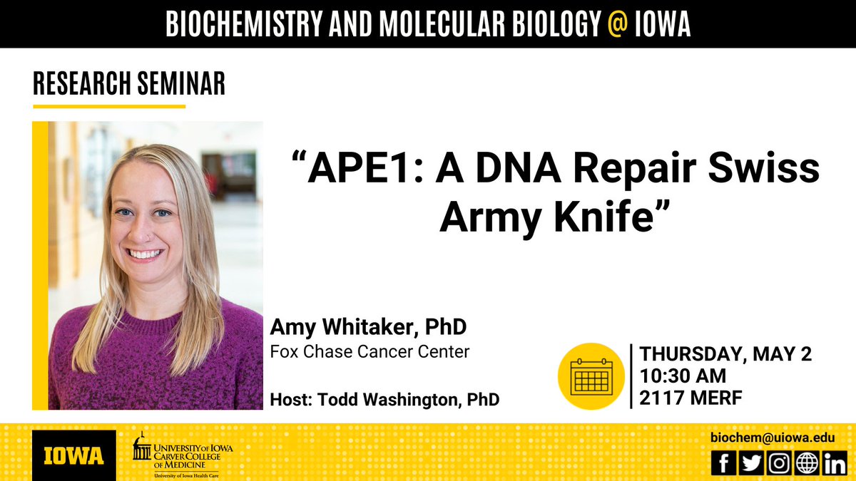 We are excited to welcome Dr. Amy Whitaker from Fox Chase Cancer Center as our final seminar speaker of the spring term. Dr. Whitaker will speak on 'APE1: A DNA Repair Swiss Army Knife' on Thursday, May 2nd at 10:30am.