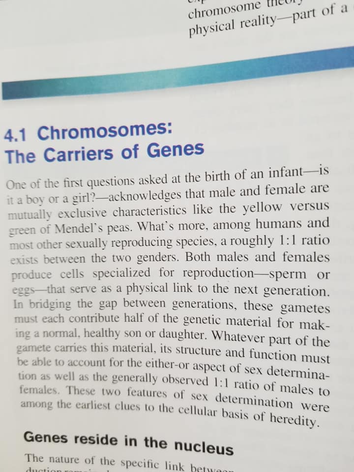 @legaltweetz College genetics textbook. Humans cannot change sex.  Gender is irrelevant societally imposed BS.