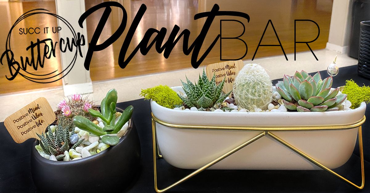 Succ It Up Buttercup will be at the taproom from 12-3pm today!

This self-paced planting experience includes step-by-step directions that will guide you through the process and have you on your way to creating a beautiful plant experience.

#succulents #castledangerbrewery