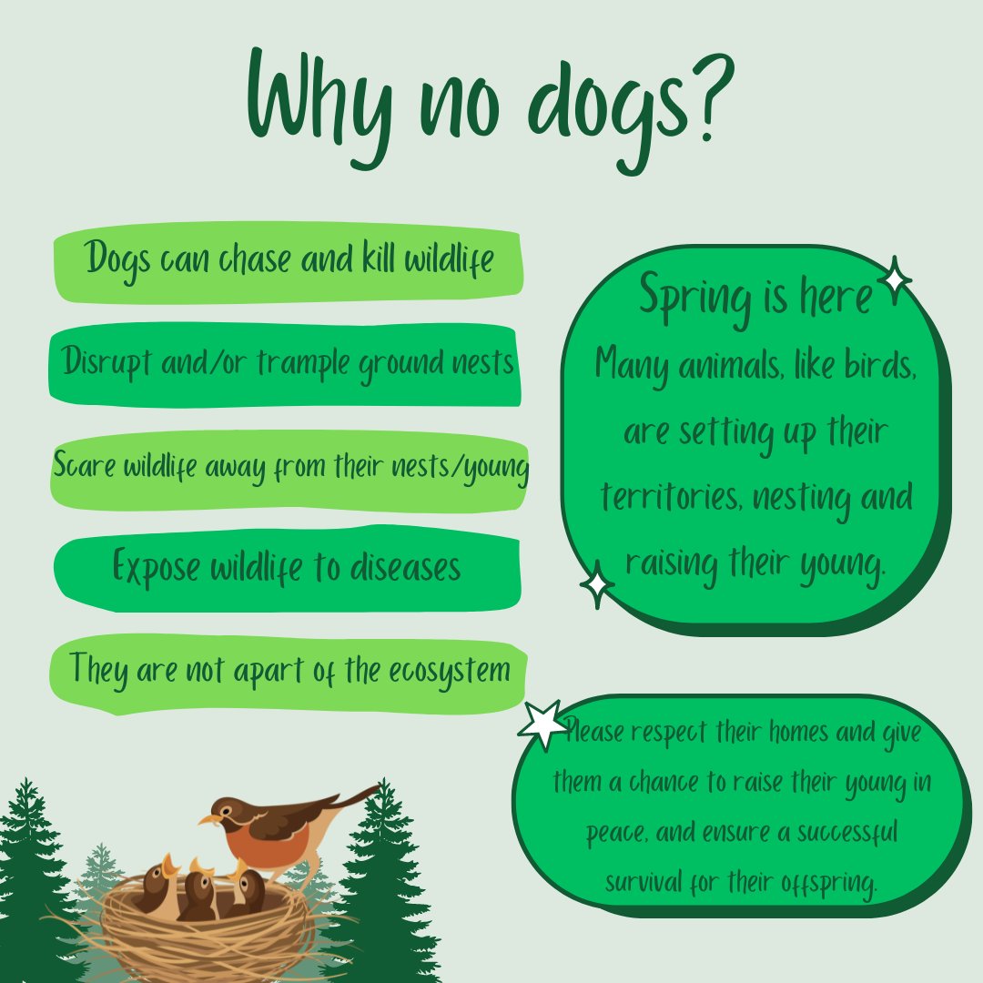 For those visiting the McLaughlin Bay Wildlife Reserve, please leave your dog at home.
Please respect the area and the wildlife that use it. 

Thank you for your cooperation in this matter.

#LoveTheMarsh #Oshawa #SecondMarsh #NaturalHeritage #CulturalHeritage #OntarioWetlands