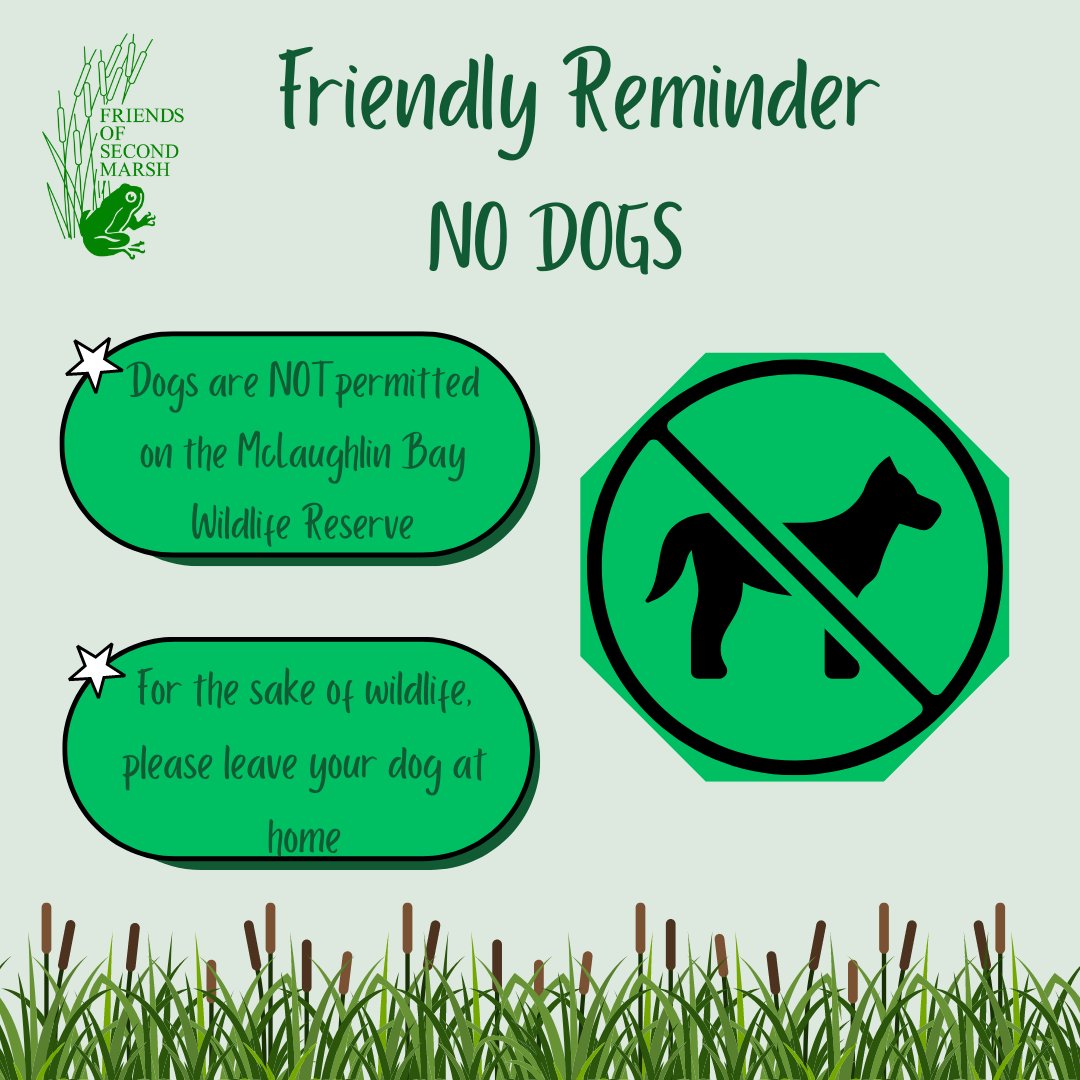 secondmarsh's tweet image. For those visiting the McLaughlin Bay Wildlife Reserve, please leave your dog at home.
Please respect the area and the wildlife that use it. 

Thank you for your cooperation in this matter.

#LoveTheMarsh #Oshawa #SecondMarsh #NaturalHeritage #CulturalHeritage #OntarioWetlands