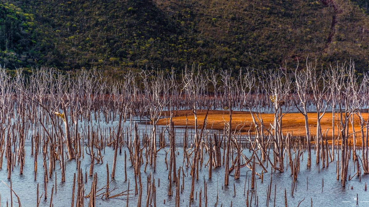 Drowned Forest in the Blue River park, New Caledonia.
kifix.picfair.com/albums/232966-…
#photo #photography #photographie #newcaledonia #nouvellecalédonie #landscapephotography #travelphotography #Islands #voyage