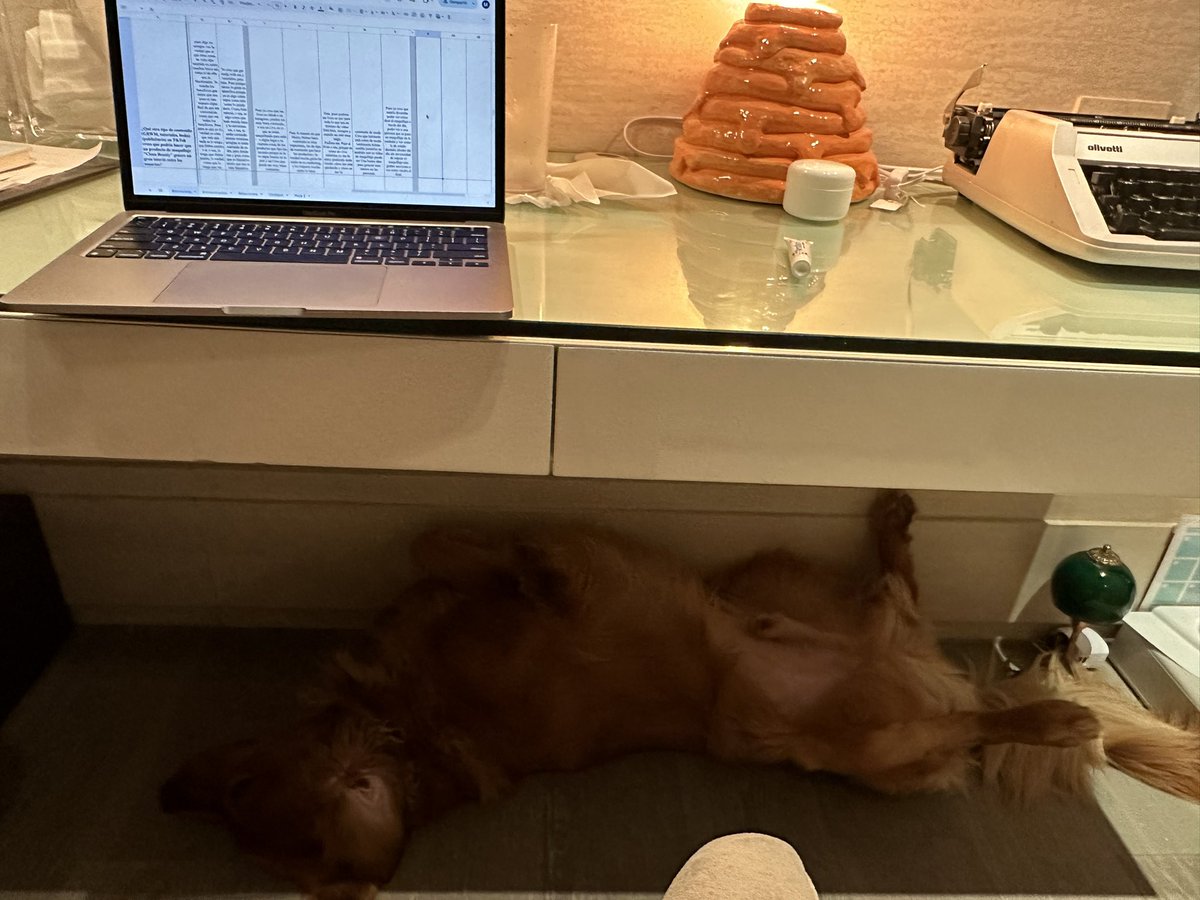 Marly Gonzalez tweet media