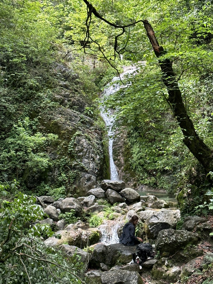 Marly Gonzalez tweet media