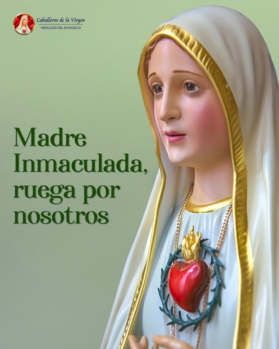 Acordaos, oh piadosísima Virgen María, que jamás se ha oído decir que ninguno de los que han acudido a tu protección, implorando tu asistencia y reclamando tu socorro, haya sido abandonado por ti. 

#caballerosdelavirgenecuador #caballerosdelavirgen #heraldosdelevangelioecuador