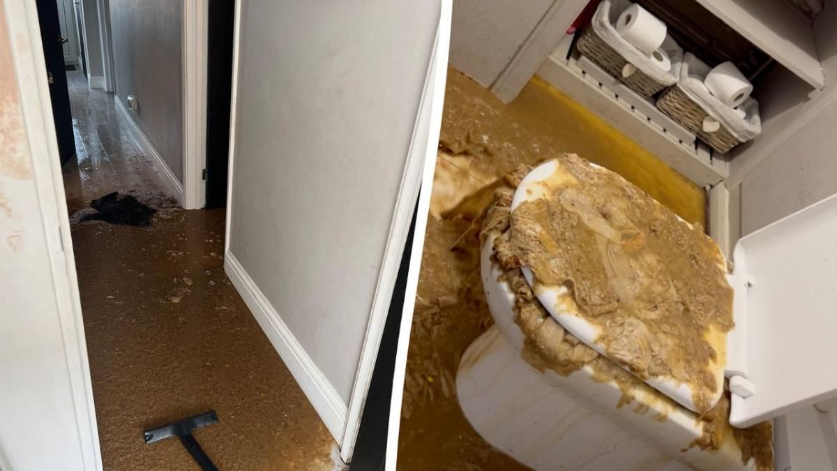 Woman left with 30K bill and uninhabitable house after sewage overflows from loo yahoo.com/news/woman-lef…
Sewage Cleanup Chicago, Oak Park, River Forest, Forest Park, Riverside, Elmwood Park, Berwyn
thecleanupguys.com/services/sewag…
#sewagecleanupchicago #OakPark #RiverForest #ForestPark