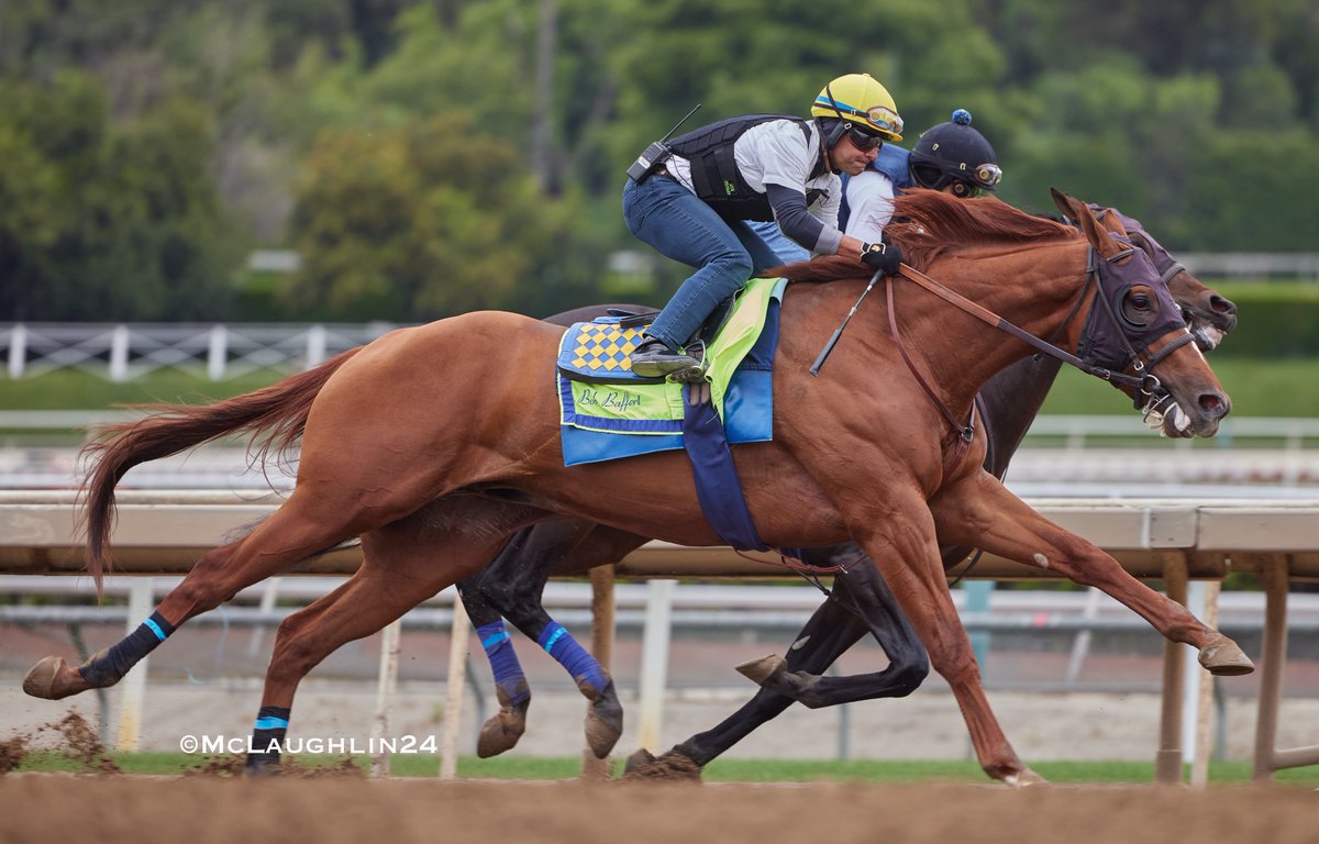 Magnify (Justify-Stellar Wind) working outside of Navajo Warrior 5F in 1:01.00 this morning for HoF trainer Bob Baffert @santaanitapark @BobBaffert @StarlightRacing