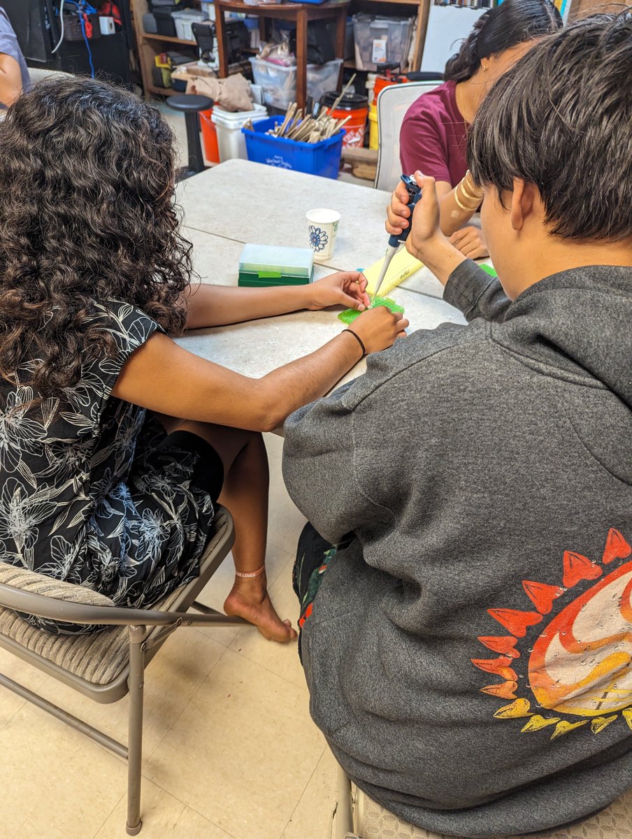 STEM or Culture? You don't have to choose! Students from @halaukumana, a PCS grounded in Hawaiian culture, are extracting GMO DNA from papayas. Isabella Aiona Abbott was the first native Hawaiian woman to earn a Ph.D. in botany. #ngsschat Mahalo, @Iolani_School