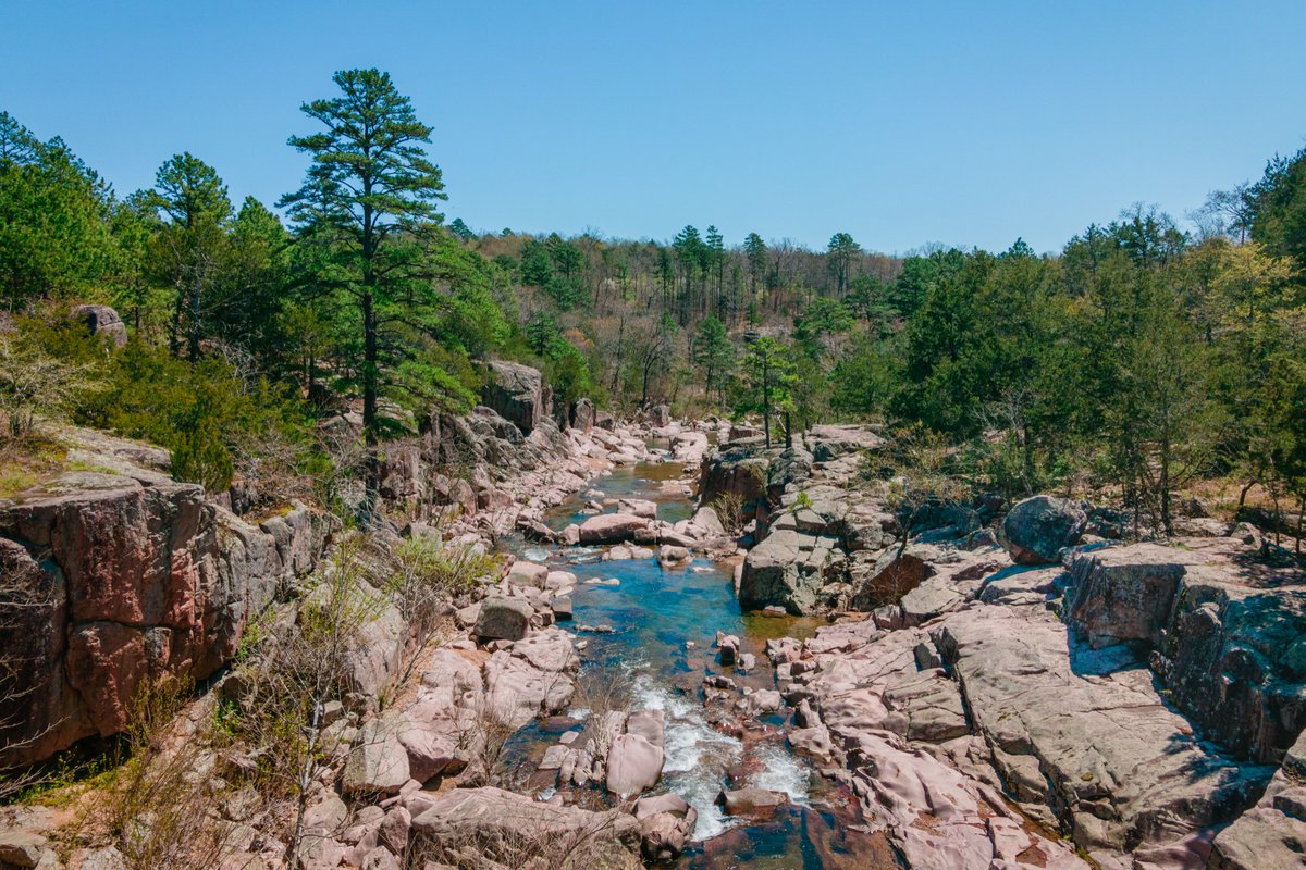 There is a large diversity of both flora and fauna in Missouri, thanks to all of the beautiful conservation areas around the state. 💐 Check out some of the Missouri wildflowers native to these areas: bit.ly/3TLMhhg. — Mo #ThatsMyMO 📍 @MDC_Online