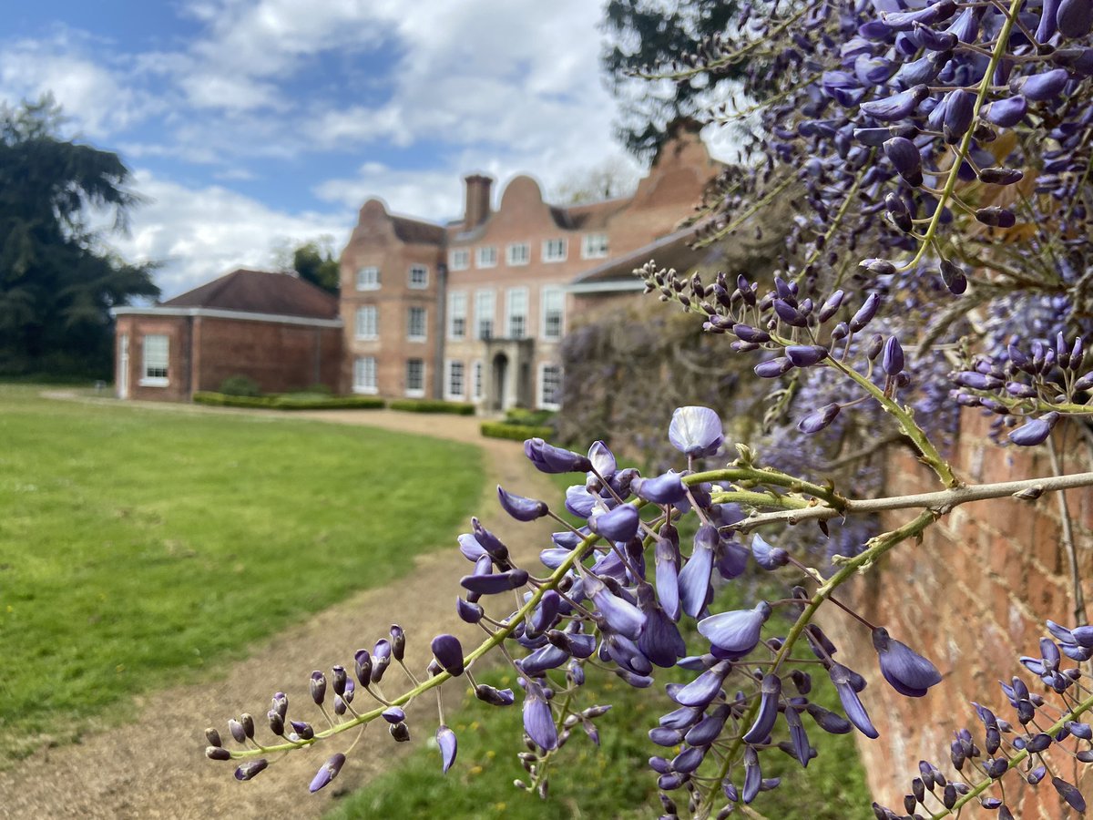 Earlham Hall has been looking beautiful this week with the wisteria in bloom @uealaw @uniofeastanglia