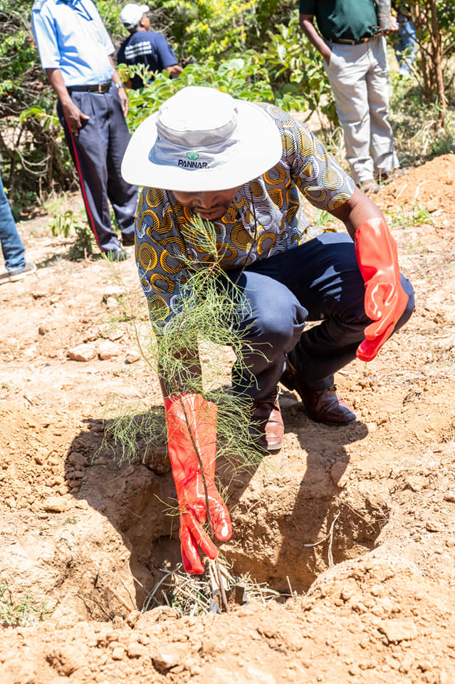 This tree planting exercise holds special significance as we not only contribute to environmental conservation but also commemorate the life and legacy of our very first University Chancellor, Dr. Kenneth Kaunda, whose day of remembrance falls on April 28th, 2024. #KKat100