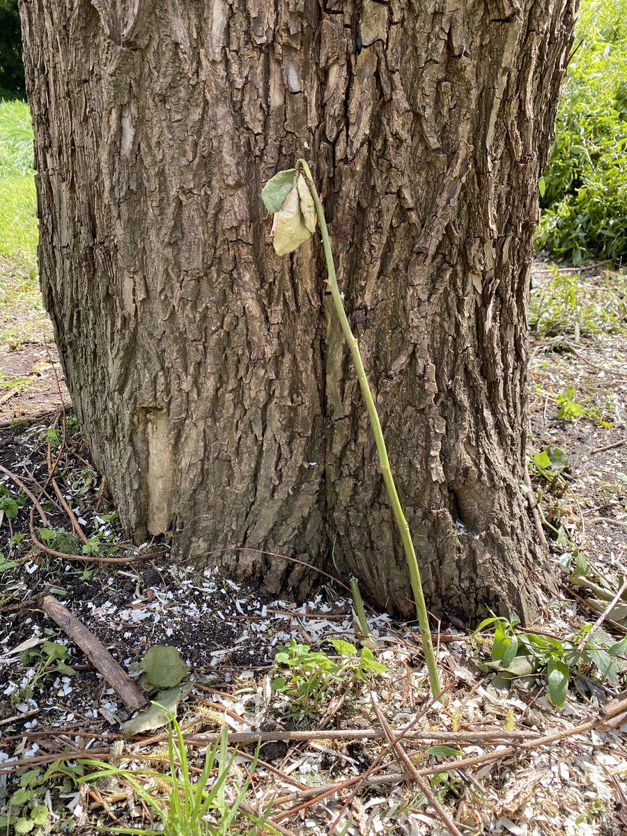 Jim Vorwald tweet media