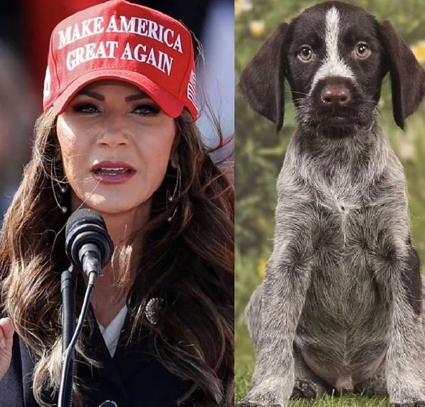 Kristi Noem should be the most hated woman in the world for what she did to her dog. I hate her so much! 
Who agrees? 🤬🤬🤬
You Maga folks can't possibly defend this horrid woman! 
Look at the eyes of that poor pup! 💔