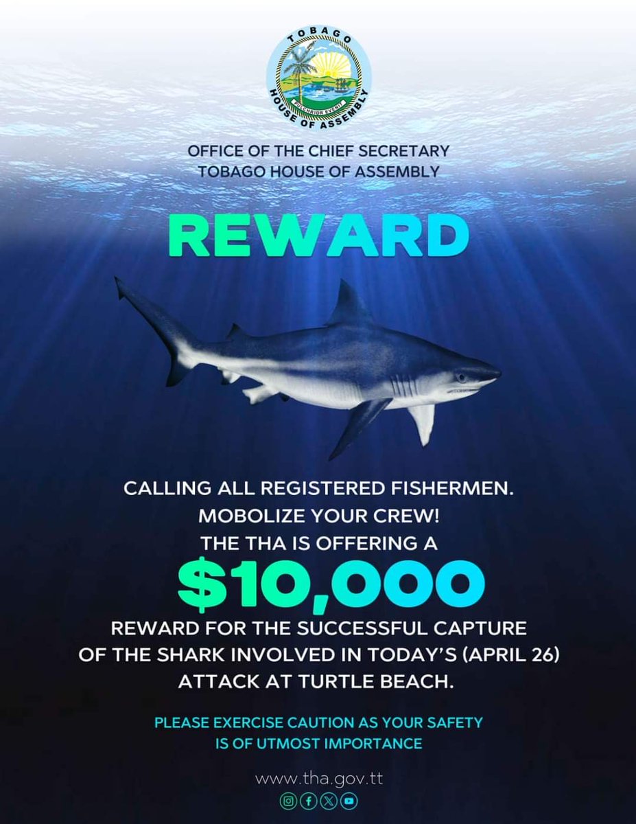 djmaster's tweet image. Farley really put a bounty on that shark’s head. Incredible.