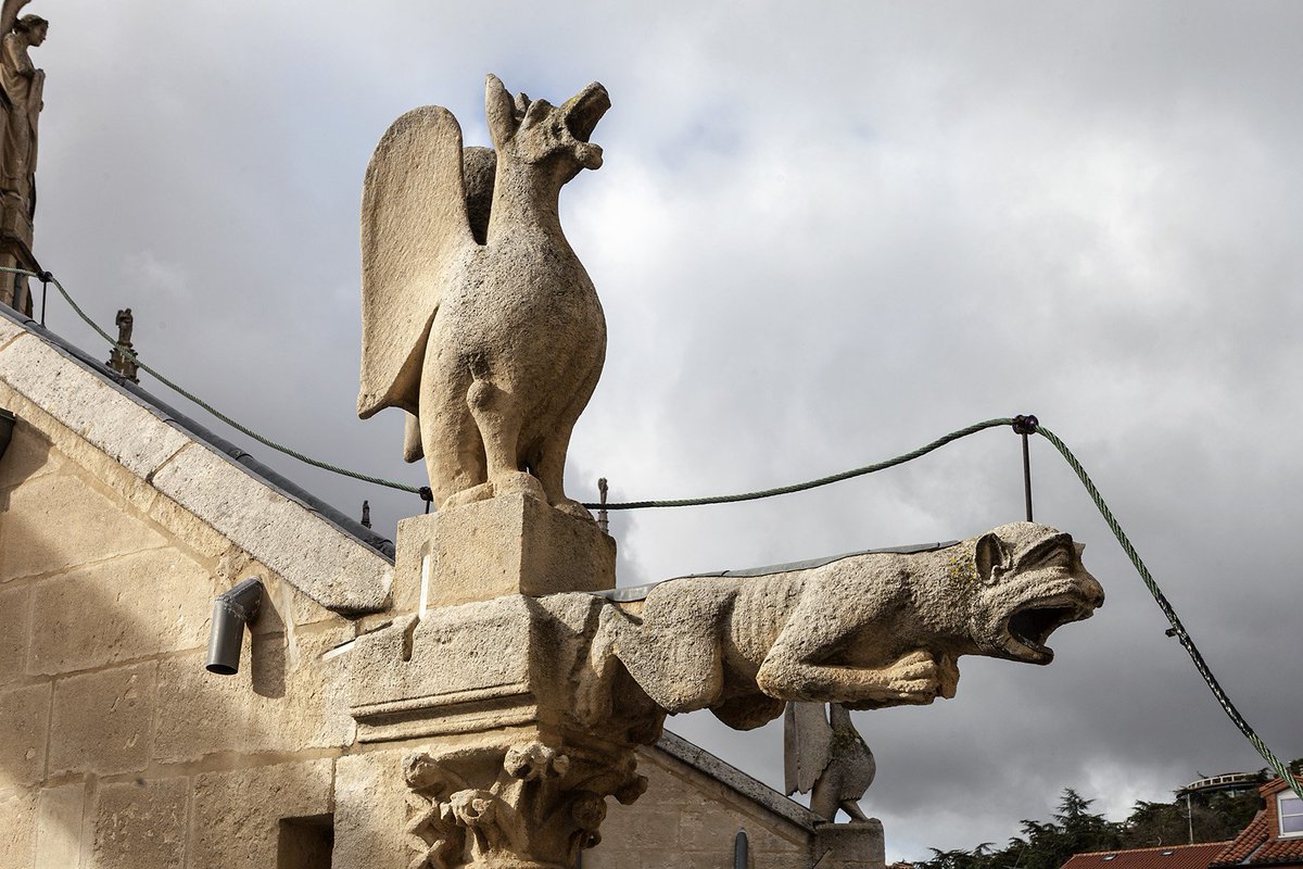 GÁRGOLAS GÓTICAS La #CatedraldeBurgos cuenta con un notable repertorio de estos seres grotescos y fantásticos. Además de evacuar las aguas que caían sobre los tejados, también cumplían una protectora misión frente al demoníaco mal exterior. Terroríficas... pero muy bellas.