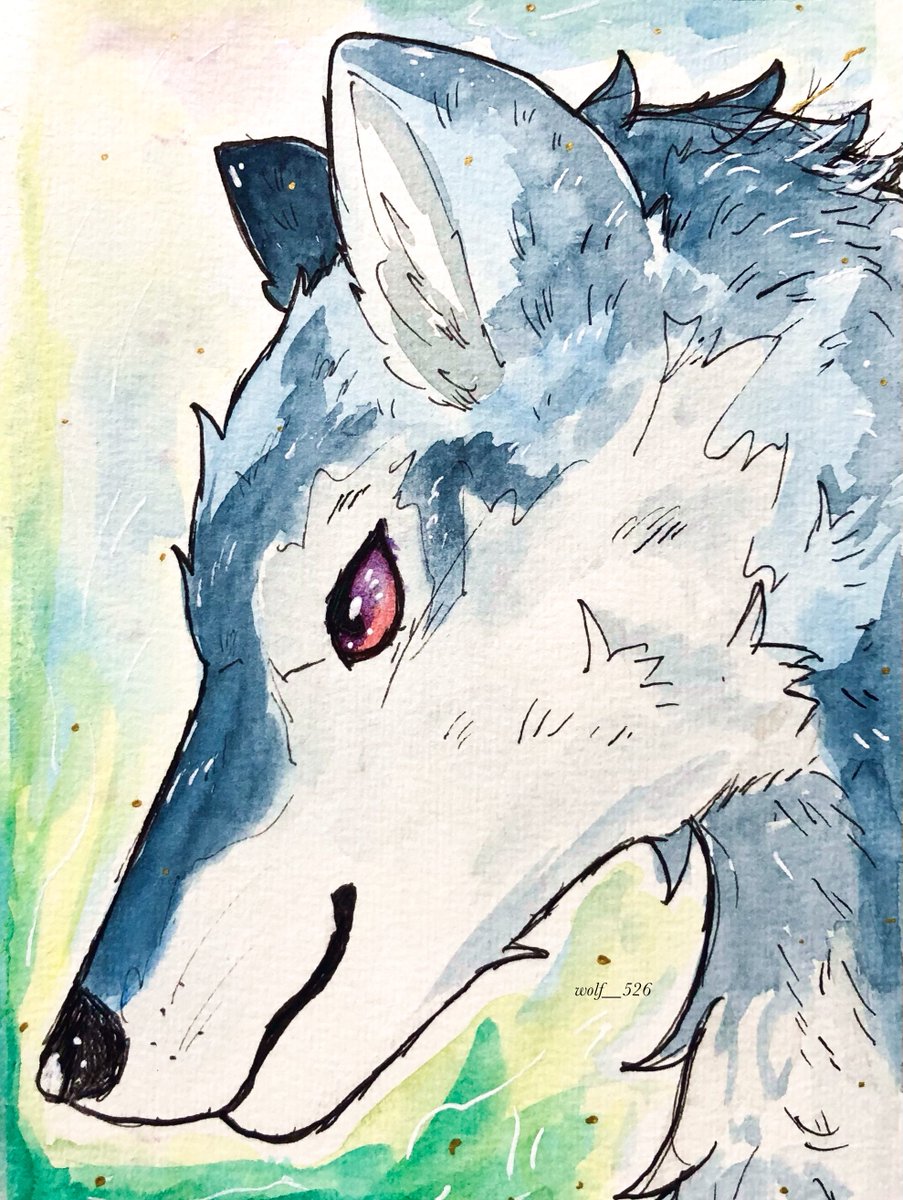 「蒼狼」
#狼 #水彩イラスト #ヴォルフのアート #watercolor #wildlifeart #wolfart