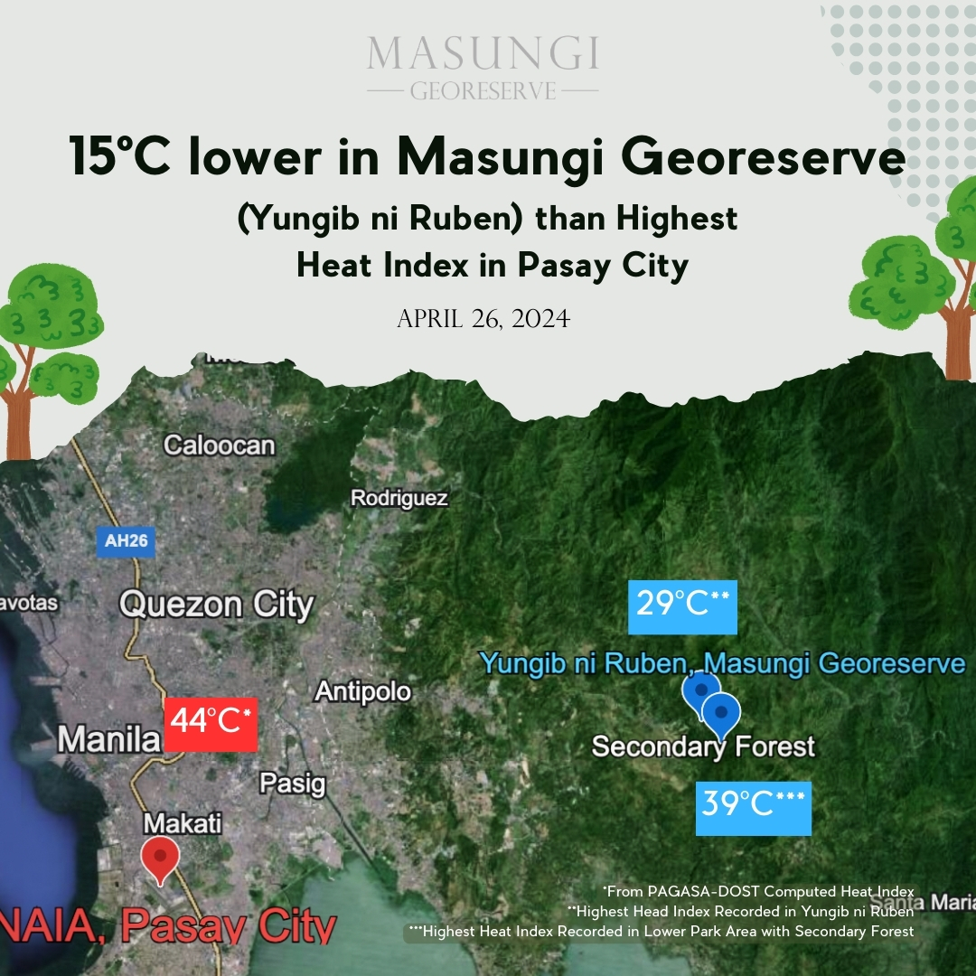 FORESTS: OUR NATURAL AIRCONDITIONERS 🍃🌳 — Local forests in and around cities can lower surface and air temperatures through shading and evapotranspiration, dramatically reducing the need for air conditioning and enhancing urban livability. (1/2)