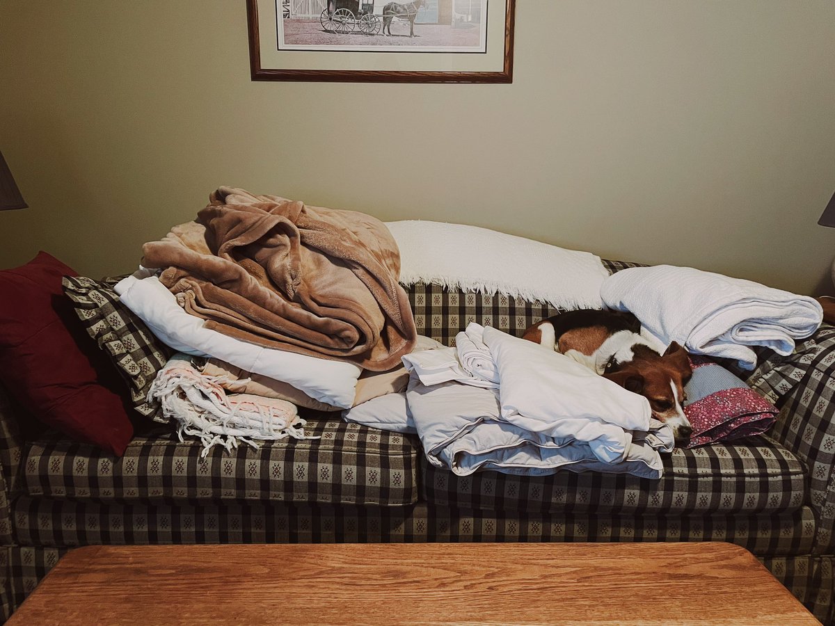 The Beagle is terrified of my parents’ massive, empty farmhouse—and, unfortunately for her, we are on housesitting duty for the weekend. 

After looking for her in multiple rooms, I eventually came across her chosen hiding place…