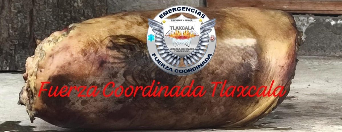 Terrorífico hallazgo en Tepeyanco, localizan una pierna humana con imagen satánica tatuada, la tarde de este viernes 26 de Abril. 

La pierna humana, aproximadamente media 50 centímetros.