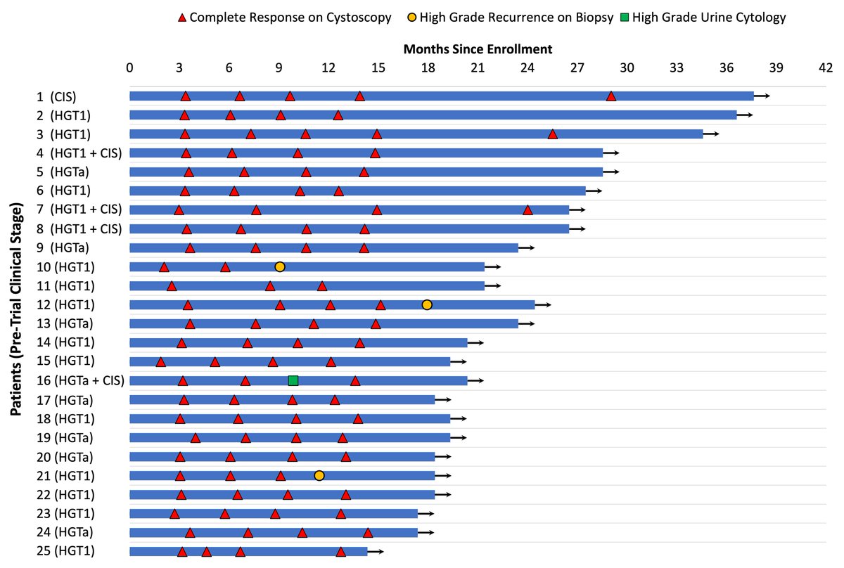 📊
Final analysis included 25 pts, mostly HGT1 +/- CIS
Median f/u 19.6 mo
3-month CR 100%
12-month RFS 92% (95% CI 89-94%)
No progression to T2, none underwent cystectomy, and none with cM+ or cN+ dz