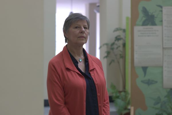 El_Jose_Vicente's tweet photo. “Hoy estamos entendiendo que la violencia en ‘La vorágine’ no viene de la selva, sino de la explotación extractivista”

Erna von der Walde, curadora de la exposición ‘El árbol que devoró un mundo: los rumbos del caucho en La vorágine’, de @FILBogota 

https://t.co/HkVgj0XJK1 https://t.co/xBRMzQiyNi