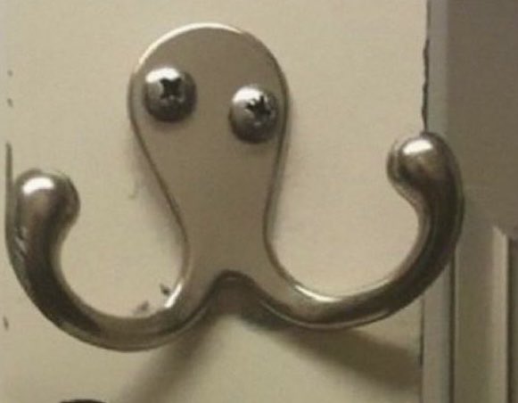 drunk octopus wants to fight!