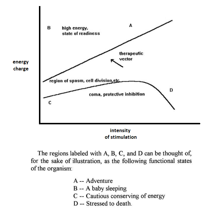 PeatPill's tweet photo. #GenerativeEnergy https://t.co/bbk040GdSl
