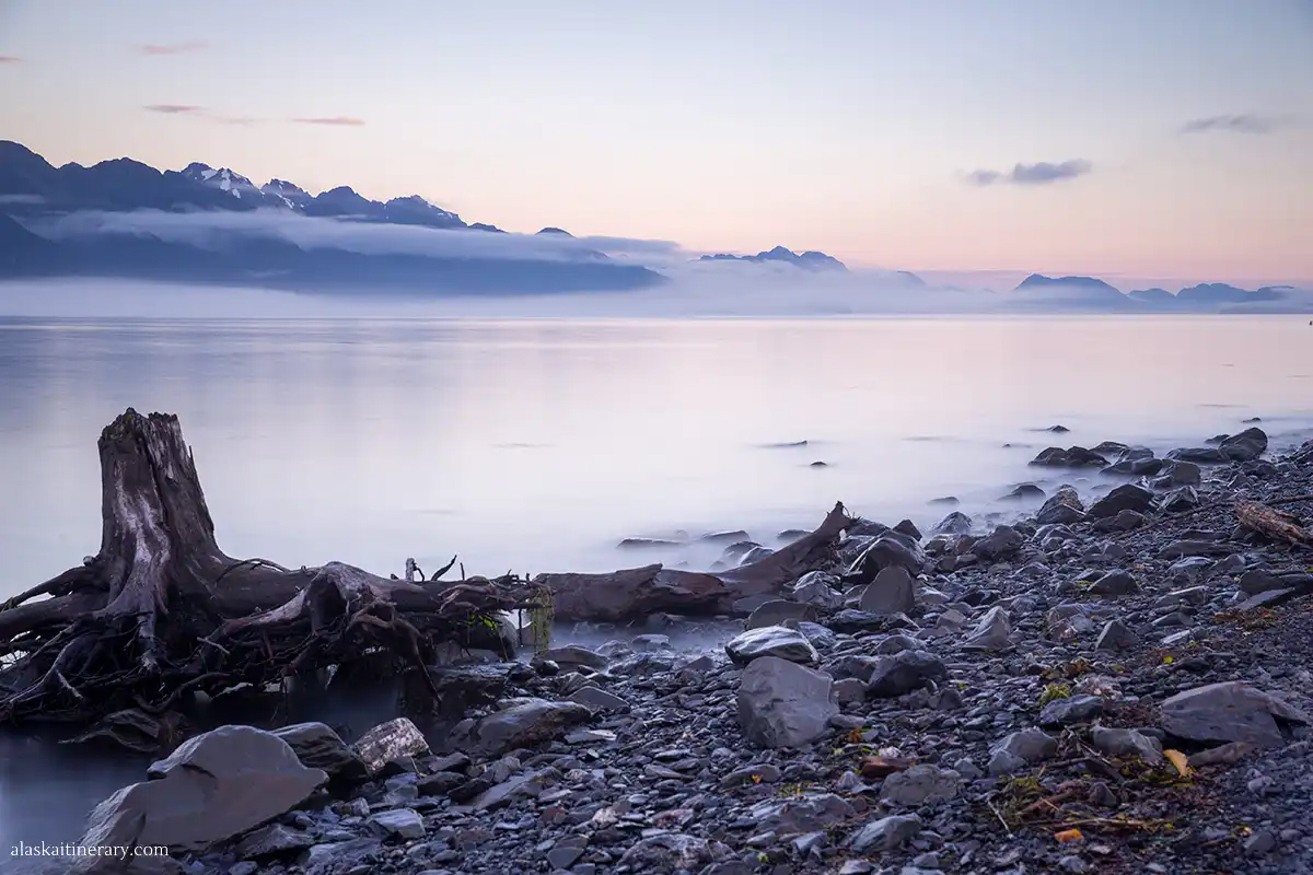 #NationalParkWeek: Kenai Fjords National Park is the perfect place to view marine wildlife. 

#Alaska #wildlifephotography #wildlife #nationnalpark #travelblog #alaskaitinerary #wildlifeviewing