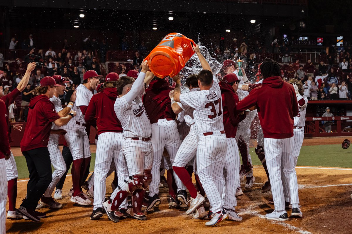 South Carolina Baseball tweet media