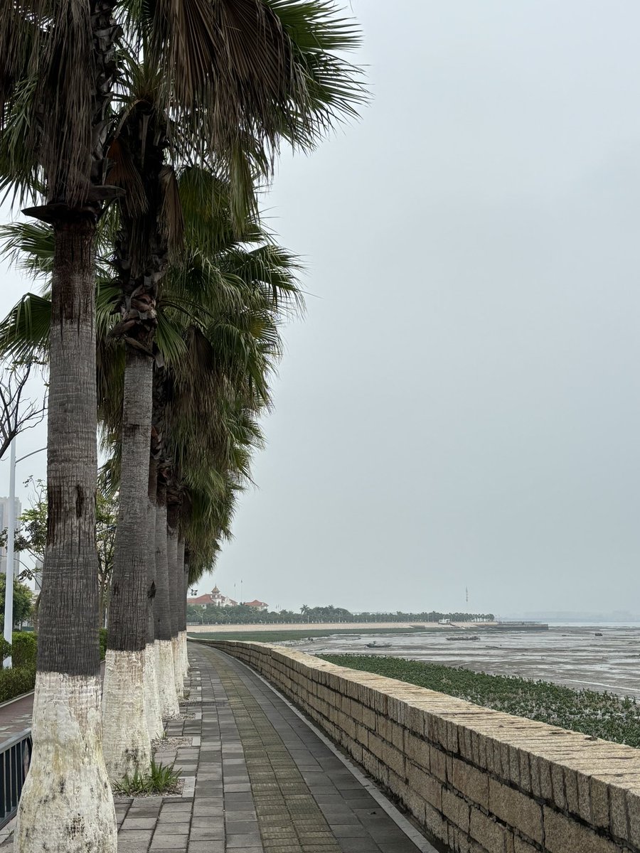 _jen_mo's tweet image. 5k run along the seafront in Xiamen to start the day. About 1000% humidity but i loved it &amp;amp; the new tattoo was out.

#LifeOnTour #RunnersOfTwitter #Xiamen #China