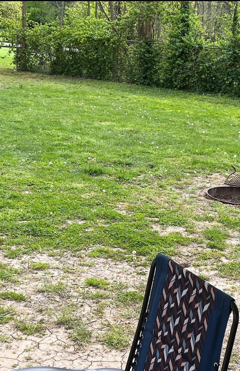 speventer tweet media