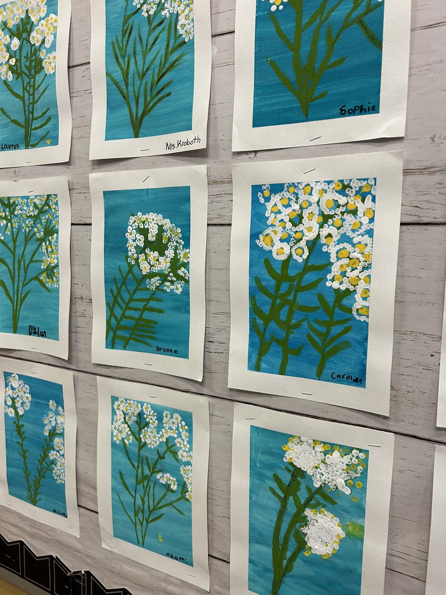 Room 4 created paintings of pearly everlasting- a native plant to Ontario that their class researched for our canoe pollinator garden which will be filled with native plants this spring. Such beautiful art! @LC1_TDSB @TDSB_MHWB @tdsb @Frances_TDSB @AHoward_tdsb