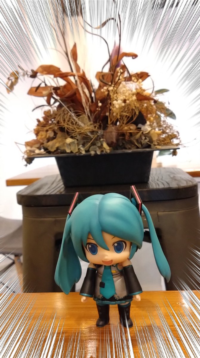 何かをやらかそうと企んでる？www
#初音ミク
#ミクダヨー
#ボカロ好きさんと繋がりたい
#企んでる