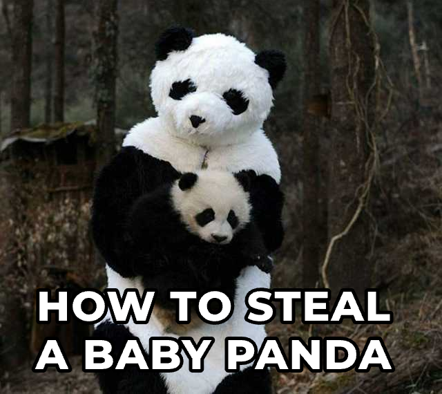 How to steal a baby panda🤔
#ICPanda #PandaPrize $ICP $PANDA