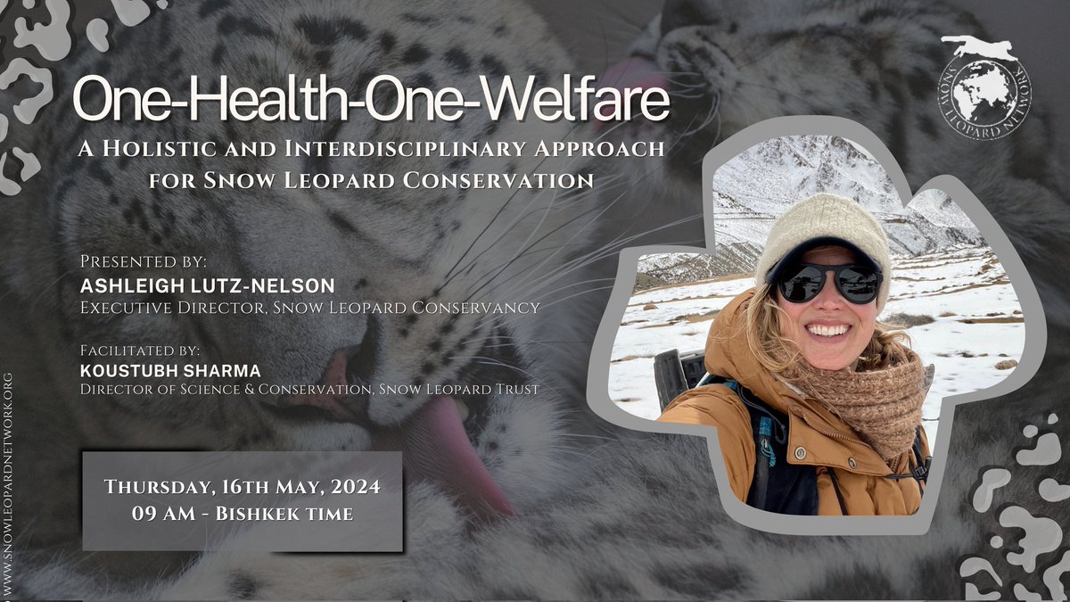 📣 Save the Date & Join us on May 16th-9am (Bishkek) for an inspiring discussion on the #OneHealthOneWelfare init., which facilitates a #communitydriven & holistic #conservation approach bridging educational, health & envir. challenges in remote comms.

 👉snowleopardnetwork.org/2024/04/22/sln…