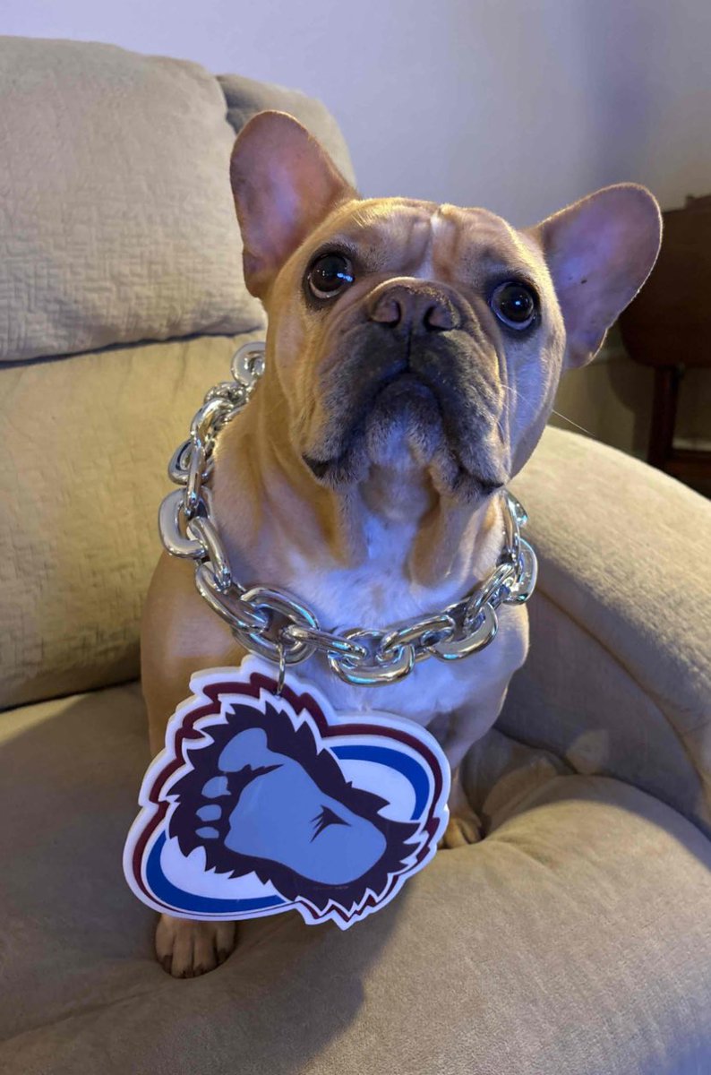 FishHunterNM's tweet image. Oliver says Go Avs!!! #AltitudeChat