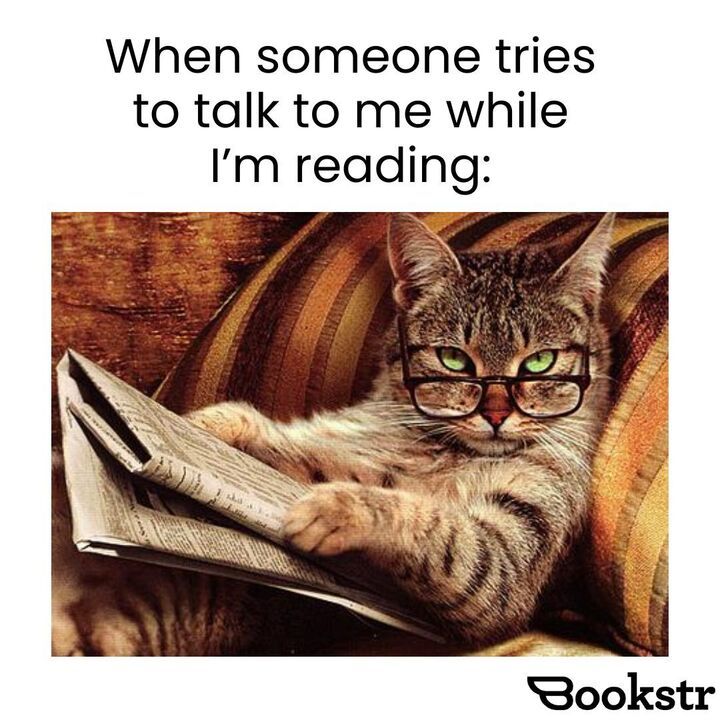 If someone is holding a book, do not disturb them unless it is URGENT! 📖

[🤪 Meme by Talya Golian]

#tbrlist #relatablememes #booklovers #bookishmemes