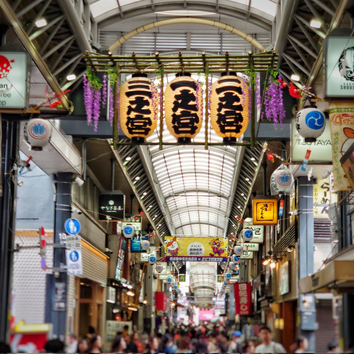 新仲見世に三社祭の大提灯が掲げられました。迫力のある大提灯に藤が色鮮やかで綺麗です。

日に日にお祭りムードが高まっています！

#台東区 #浅草 #新仲見世 #商店街 
#三社祭 #提灯 #大提灯 
#一之宮 #二之宮 #三之宮 
#藤 #藤棚