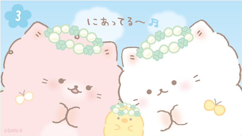 ふんわりねころん【公式】 tweet media