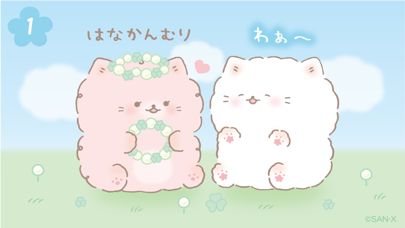 ふんわりねころん【公式】 tweet media