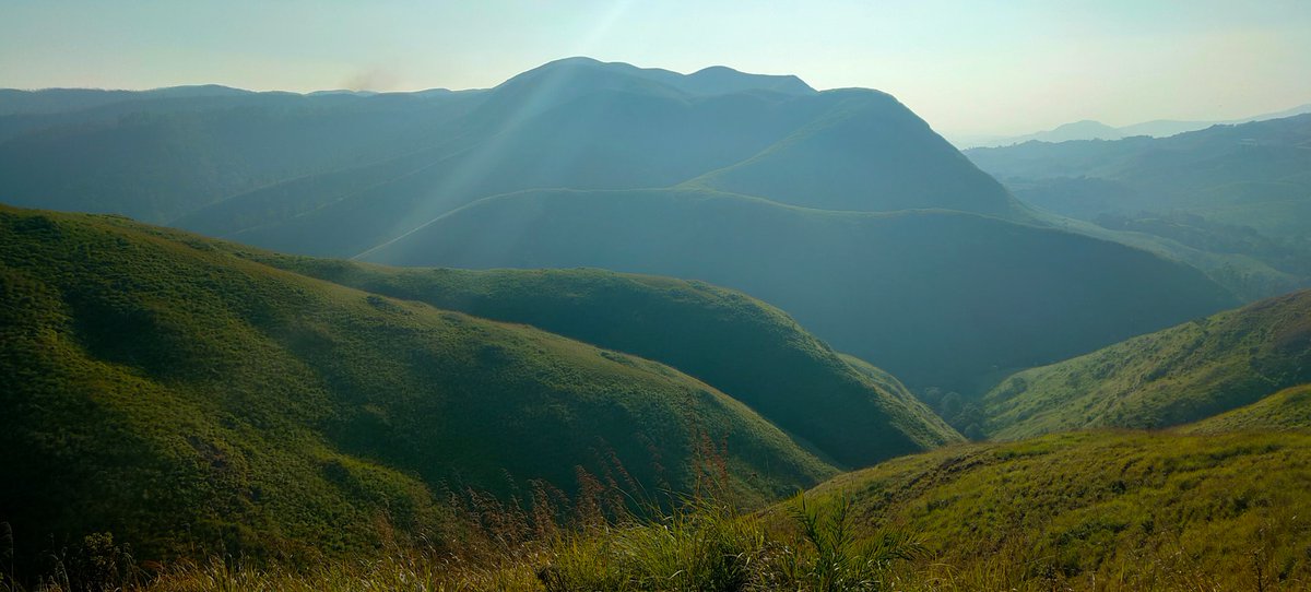 Nature is pleased with simplicity.  And nature is no dummy. 

📍 Periyar National Park, India

Share your most meaningful travel discoveries with @travelwkit💜

#traveltheworldwithme #igtravel #beautifuldestinations #outdoors #travellingthroughtheworld