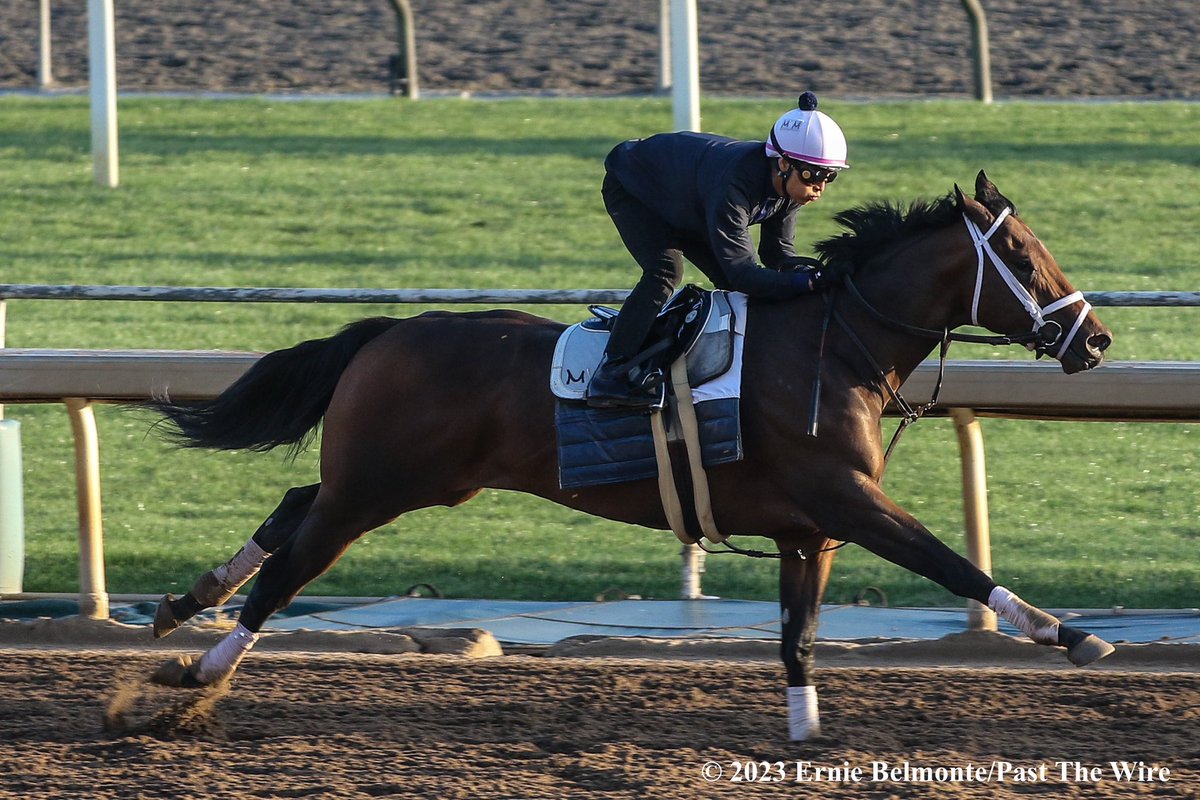 Barbara T got the maiden broken today at Keeneland. Here’s a picture I took of her in May 2023 last year working out at SA before her career debut. Congratulations to her connections.