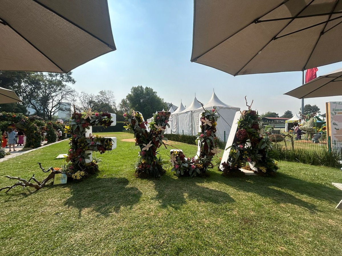 ¡Primavera repleta de flores! Te traemos el plan perfecto para este fin de semana: visita el “Festival en Campo” de @fyjamx, un evento al aire libre que expone 8 jardines elaborados por paisajistas, escuelas de diseño y floristas. 📸: @aandycabrera