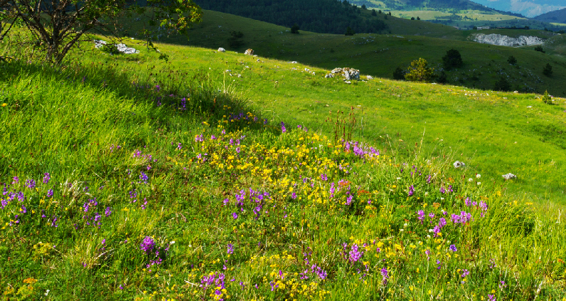 Grandi e piccini insieme per la raccolta dei rifiuti nella #GiornataMondialeDellaTerra  con il Movimento Salva il Suolo e  il Comune di Rivara. #SaveSoilForClimateAction
@ilQuotidiano
@LaStampa
@regionepiemonte
@StampaTorino
@oggi